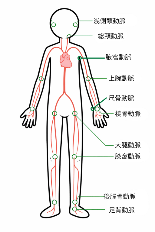 解答
